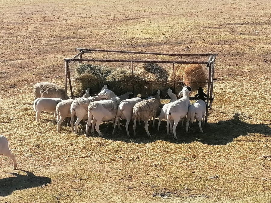 3 Bedroom Property for Sale in Joubertina Eastern Cape